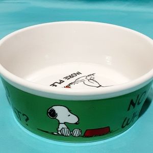 Peanuts Snoopy Pet Food Water Bowl Green Dog or Ca